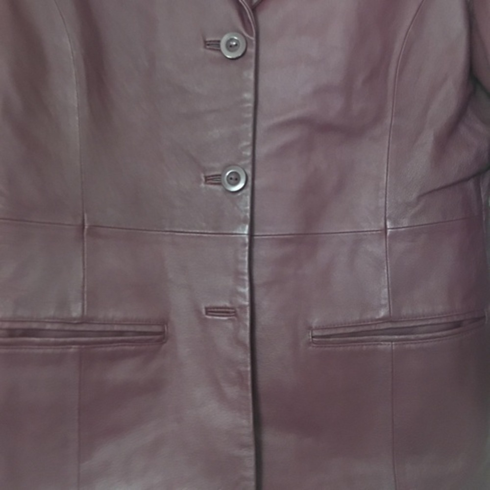 Jerry Lewis 100% Leather Jacket - image 2